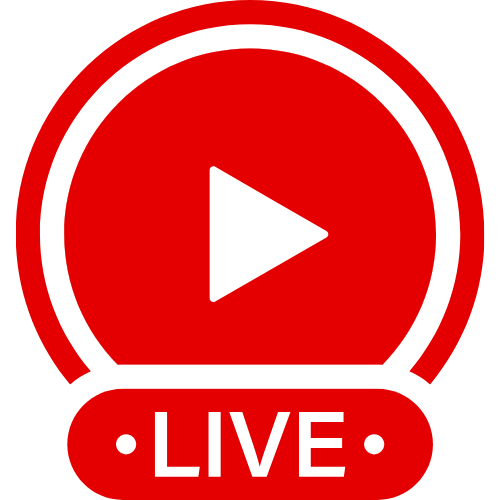 Analvideo Com | Live Webcam Shows & Interactive Adult Entertainment